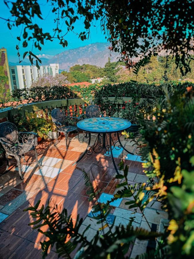 Hotel Casa Texel باناخاتشيل المظهر الخارجي الصورة